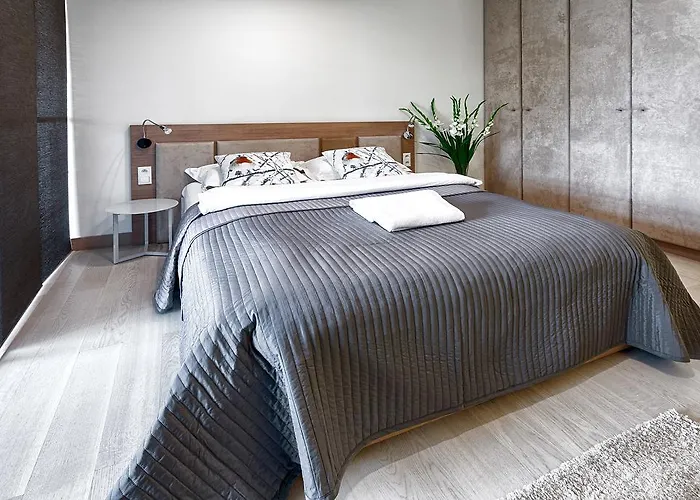 奇比克机场公寓 公寓